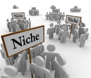 niche-marketing-300x257